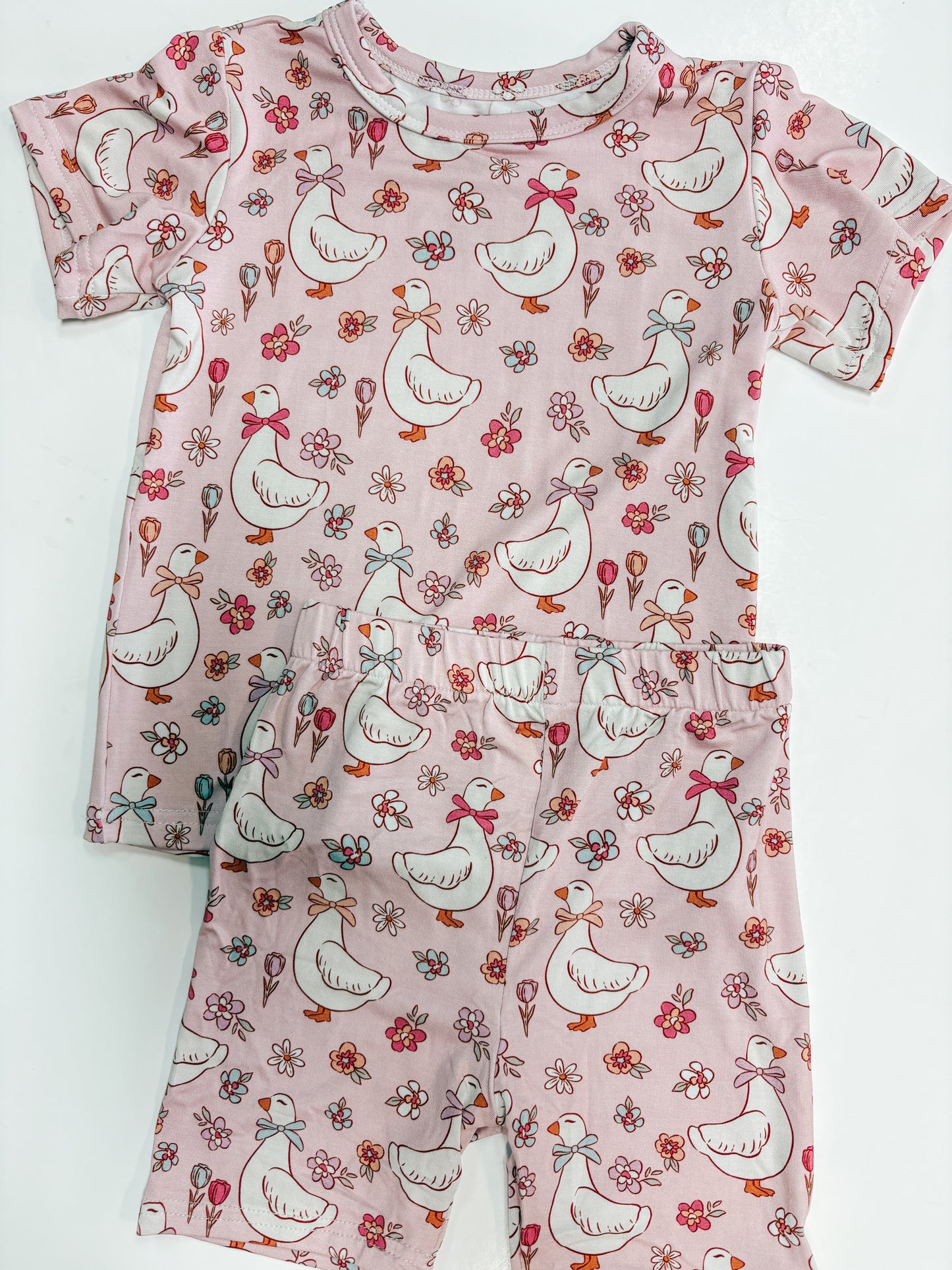 silliest goose bamboo 2 piece pjs ☀︎