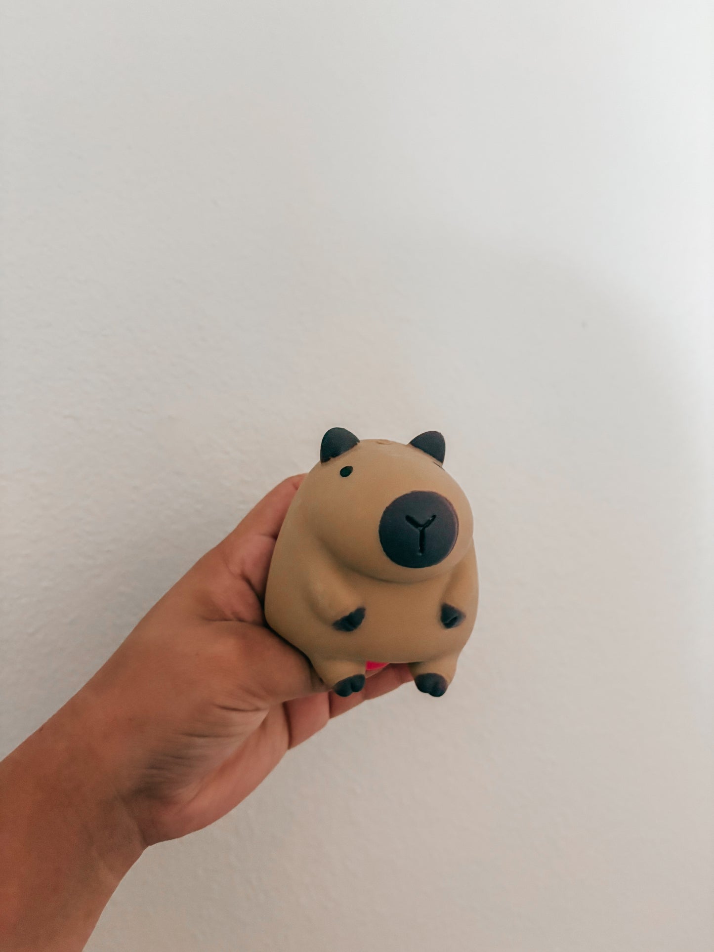 capybara squishy