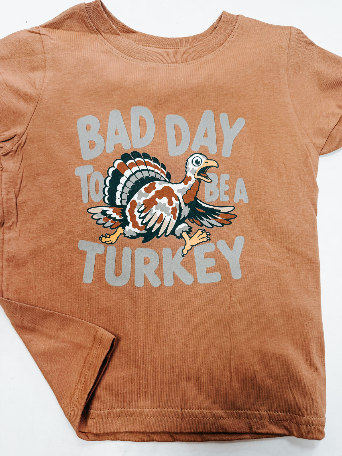 bad day to be a turkey tee π¦