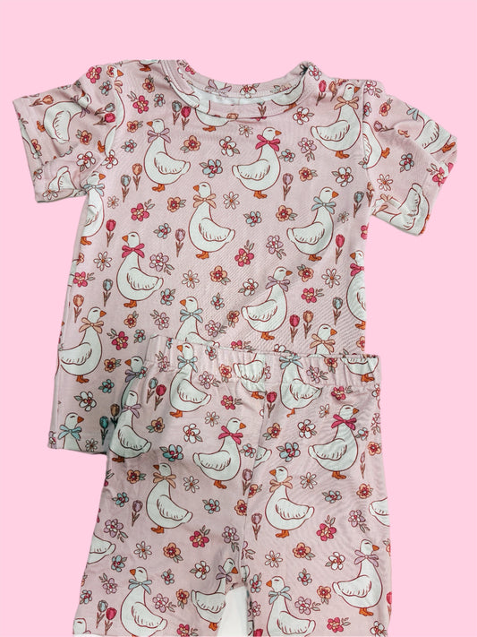 silliest goose bamboo 2 piece pjs ☀︎